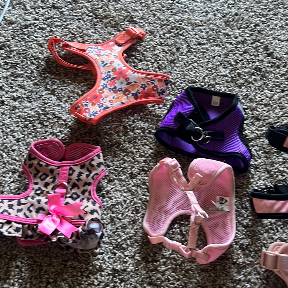 Xs small & medium dog harnesses